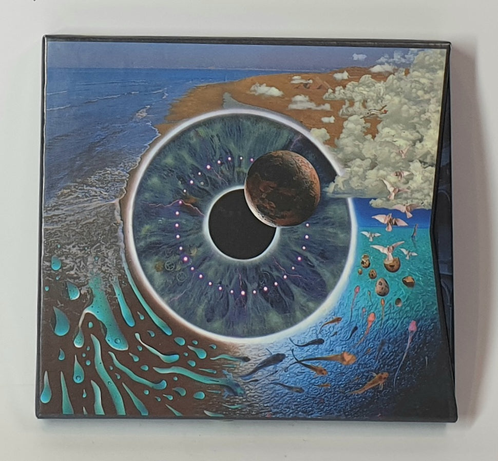 Surreal artwork of an eye with a planet inside, surrounded by water and land.