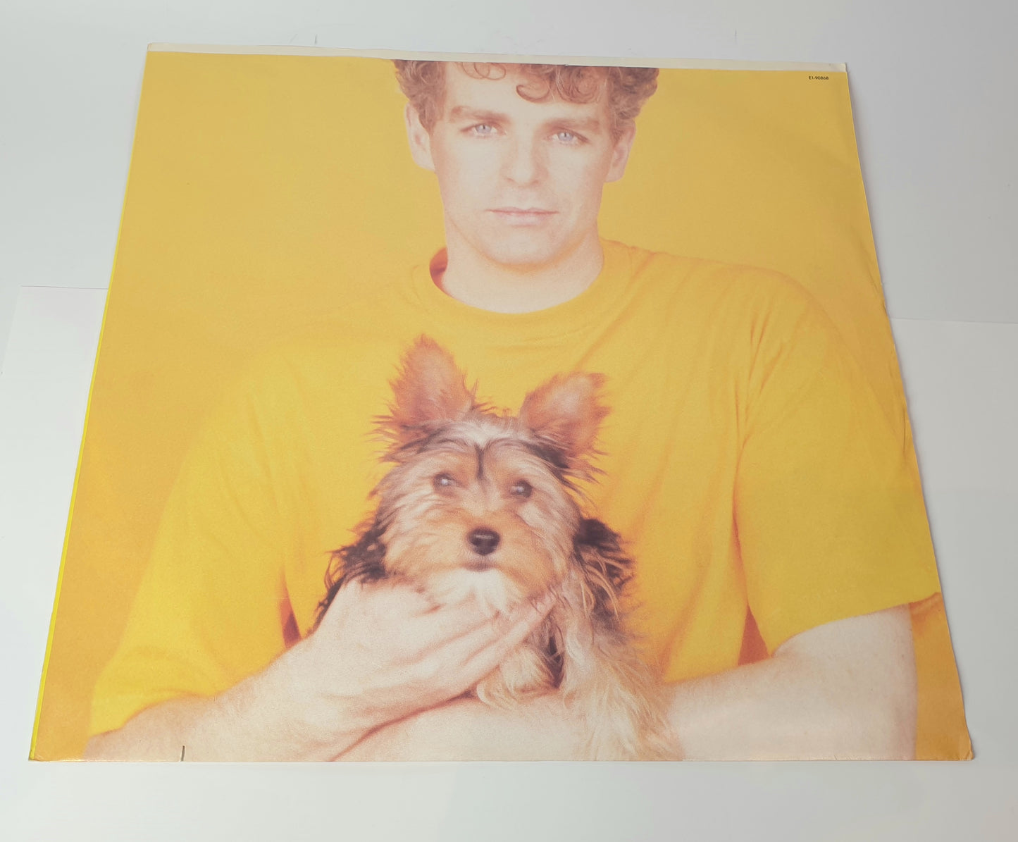 Pet Shop Boys - Introspective - LP Vinyl