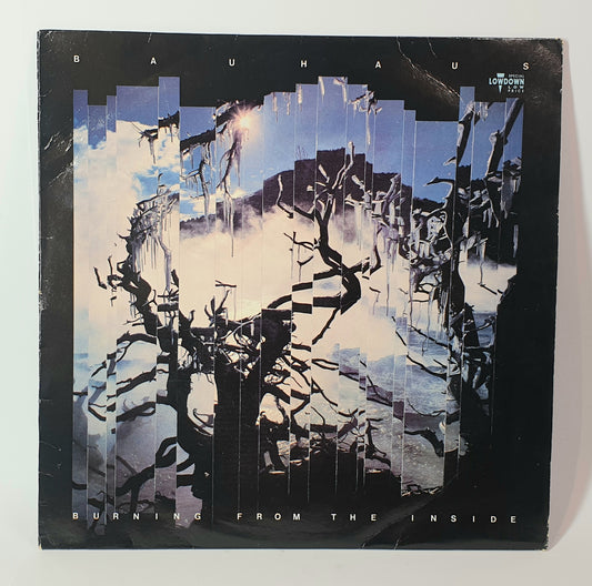 Vinyl record cover with abstract design and text 'Bauhaus' and 'Burning from the Inside'.