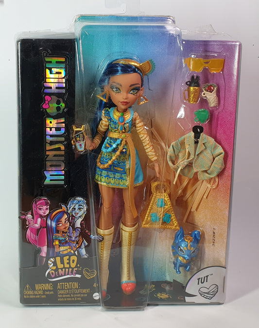 Monster High doll in packaging with accessories on a white background